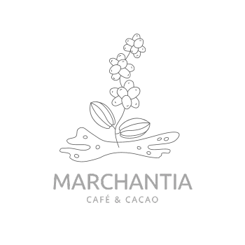 Logo Marchantia
